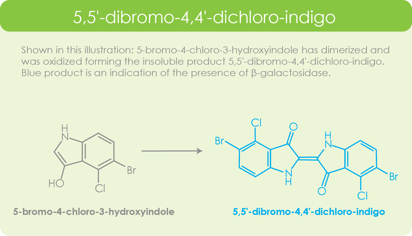XGal ZellBio GmbH Quality and affordable reagents